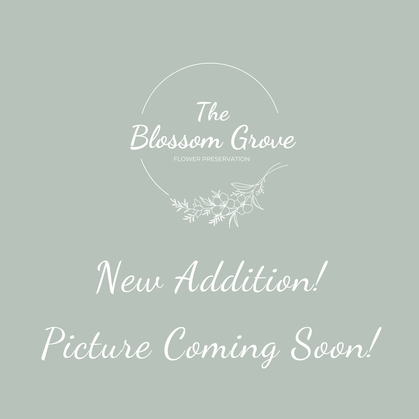 The Cross - The Blossom Grove