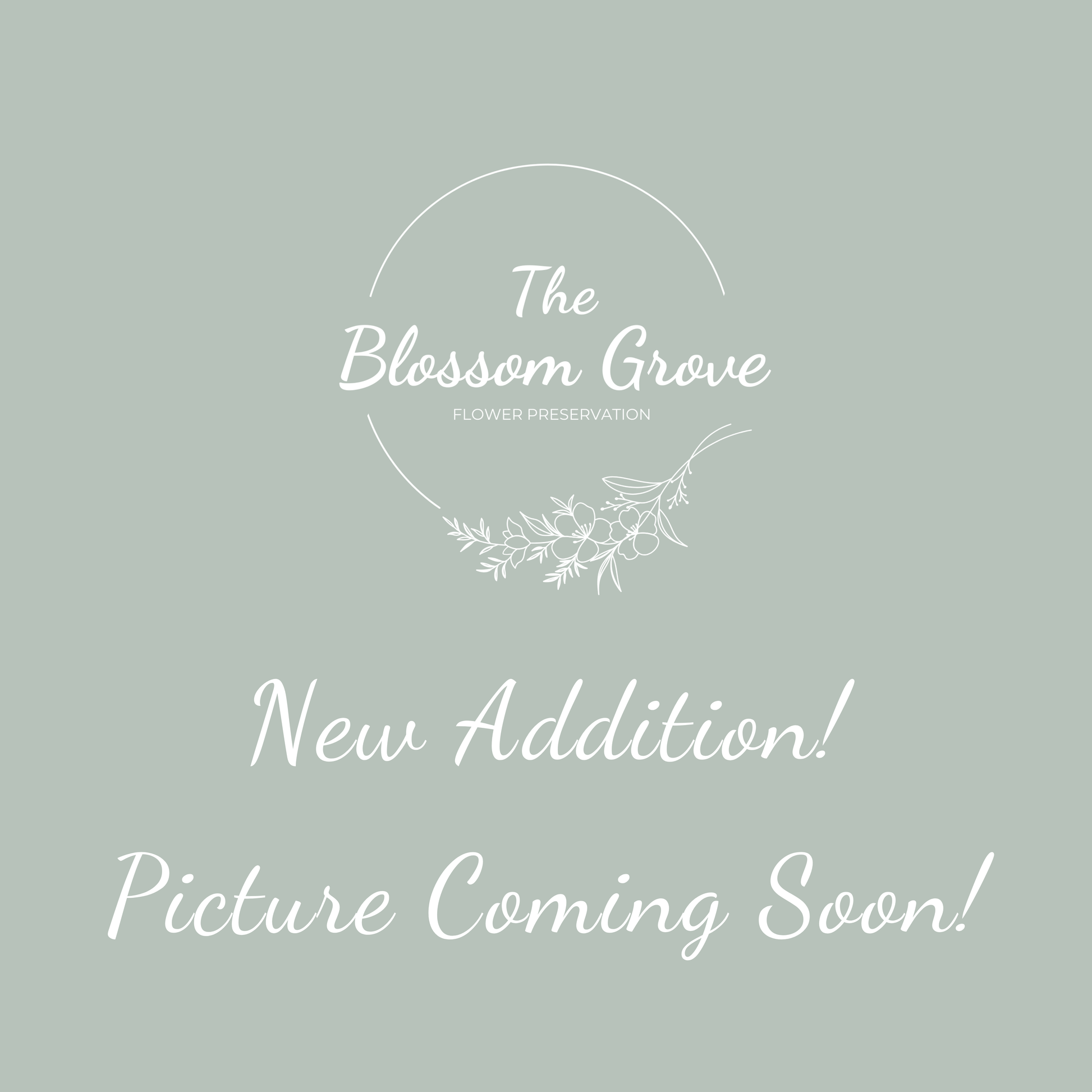 The Cross - The Blossom Grove