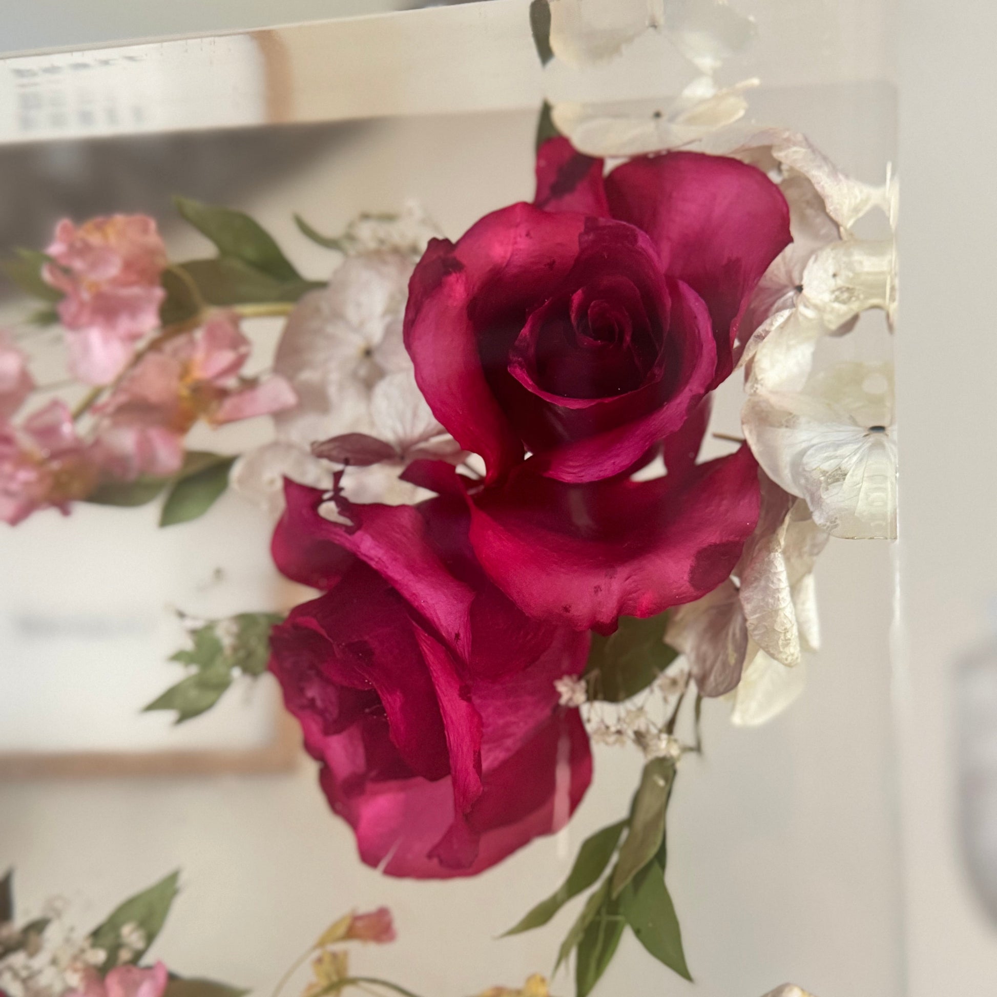 The 10 - The Blossom Grove